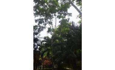 CLAYTON / EMBASSY GARDENS / DOS NIVELES / BALCON / 3 HABITACION