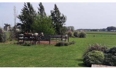 B° CHACRAS DE LA TRINIDAD