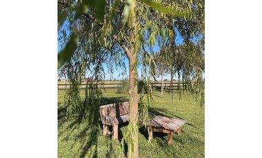 B° CHACRAS DE LA TRINIDAD