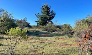 Parcelas planas crédito directo en San Javier lanzamiento