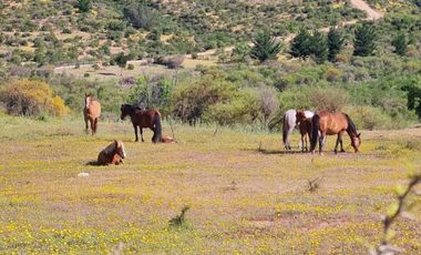 Parcelas planas crédito directo en San Javier lanzamiento