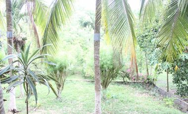 VENDEMOS CASA FINCA EN TURBACO