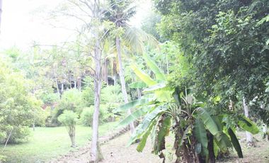 VENDEMOS CASA FINCA EN TURBACO