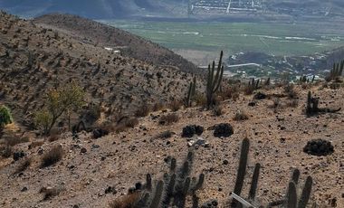 Parcela en venta en VICUÑA