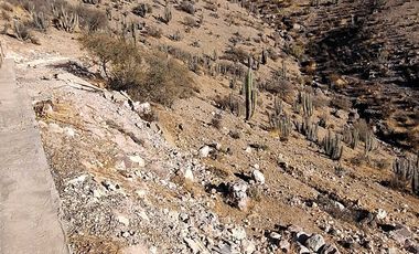 Parcela en venta en VICUÑA