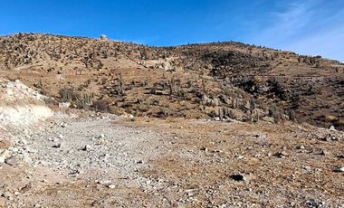 Parcela en venta en VICUÑA