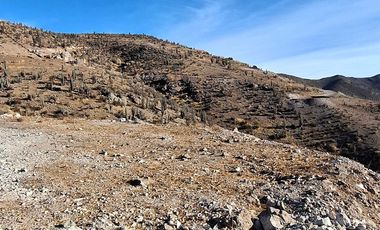Parcela en venta en VICUÑA