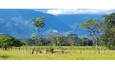 VENDO LOTE  VIA RESTREPO