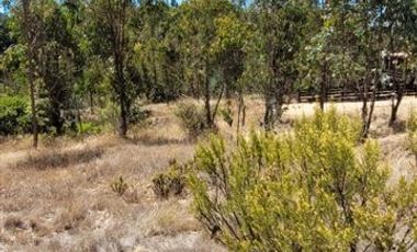 Terreno Construccion  en Venta en Región de O