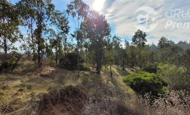 Terreno Construccion  en Venta en Región de O