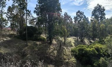 Terreno Construccion  en Venta en Región de O