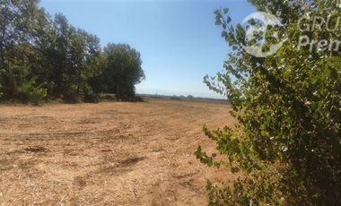 Agrícola en Venta en PARCELA SECTOR SAN RAFAEL