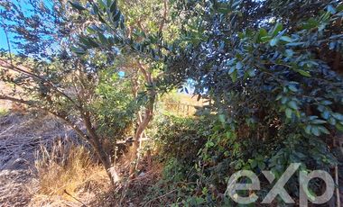 Casa en Venta en Vende sitio 5000 m2 casa 56 m2 Pichilemu