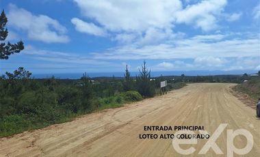 Casa en Venta en Vende sitio 5000 m2 casa 56 m2 Pichilemu
