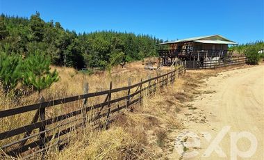 Casa en Venta en Vende sitio 5000 m2 casa 56 m2 Pichilemu