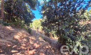 Casa en Venta en Vende sitio 5000 m2 casa 56 m2 Pichilemu