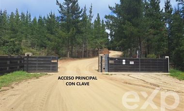 Casa en Venta en Vende sitio 5000 m2 casa 56 m2 Pichilemu