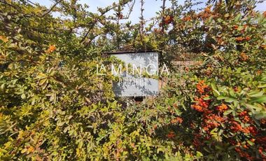 Sitio en Venta en Lo Arcaya