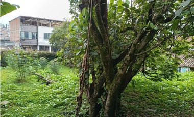 CASA LOTE EN VENTA EN CENTRO DE VILLAMARA | VENTA CASA