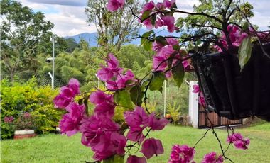 Hermosa finca con alta valorizacion en Filandia