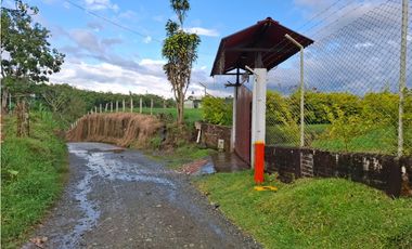 Hermosa finca con alta valorizacion en Filandia