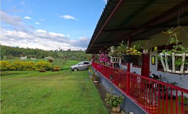 Hermosa finca con alta valorizacion en Filandia