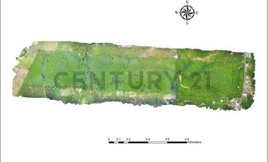 EN VENTA PROPIEDAD DE 83 HECTAREAS PRODUCTORA DE CAUCHO