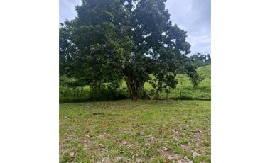 SE VENDE LOTE EN LA MESA