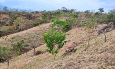 Venta De Lote En Parcelación Sopetran