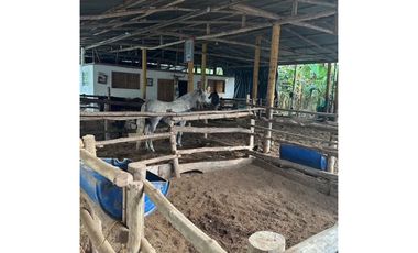 VENTA DE FINCA EN MONTERIA CORDOBA