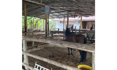 VENTA DE FINCA EN MONTERIA CORDOBA