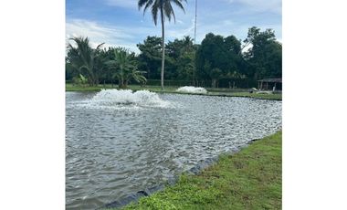 VENTA DE FINCA EN MONTERIA CORDOBA