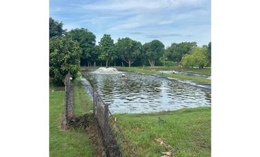 VENTA DE FINCA EN MONTERIA CORDOBA