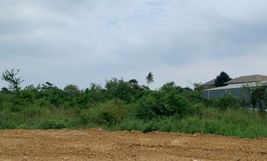 Land for sale in Nakhon Pathom, Nakhon Pathom