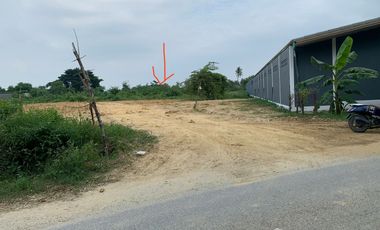 Land for sale in Nakhon Pathom, Nakhon Pathom