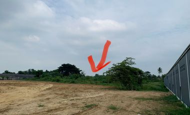 Land for sale in Nakhon Pathom, Nakhon Pathom