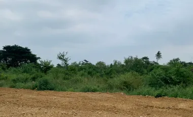 Land for sale in Nakhon Pathom, Nakhon Pathom