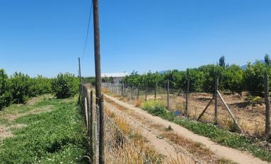 CERCANO A LAS CABRAS