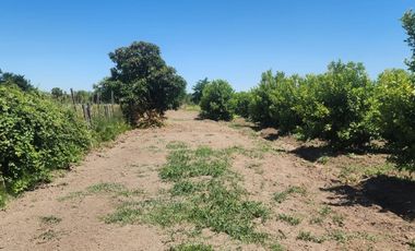 CERCANO A LAS CABRAS