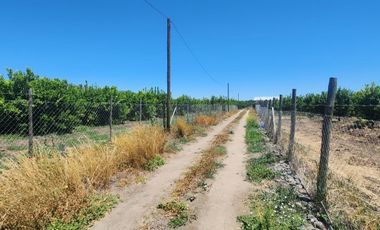 CERCANO A LAS CABRAS