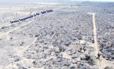 TERRENO EN VENTA EN TODOS SANTOS