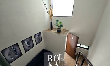 Departamento en renta Xalapa zona Ruiz Cortines
