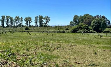 PARCELA DE 5000MTS2, EN EL SECOR DE CORRALONES