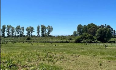 PARCELA DE 5000MTS2, EN EL SECOR DE CORRALONES