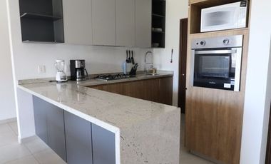 Departamento Amueblado en renta en Valle Dorado El Firmamento