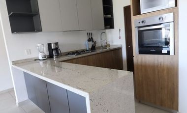 Departamento Amueblado en renta en Valle Dorado El Firmamento