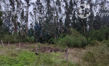 Sitio en Venta en Sector Los Patos, Ruta P - 304, Arauco