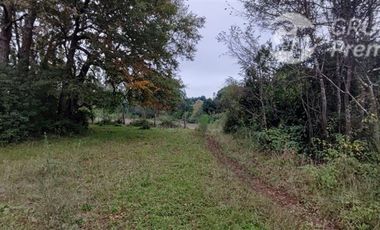 Sitio en Venta en Sector Los Patos, Ruta P - 304, Arauco