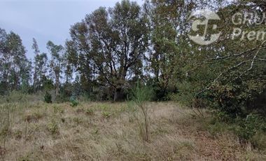 Sitio en Venta en Sector Los Patos, Ruta P - 304, Arauco