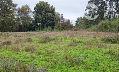 Sitio en Venta en Sector Los Patos, Ruta P - 304, Arauco